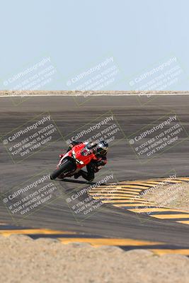 media/Mar-09-2024-SoCal Trackdays (Sat) [[bef1deb9bf]]/1-Bowl Exit (940am)/
